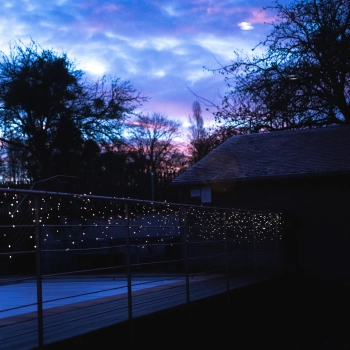 Au jardin de capucine